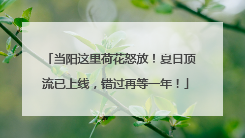当阳这里荷花怒放！夏日顶流已上线，错过再等一年！