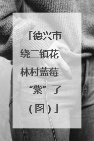 德兴市绕二镇花林村蓝莓“紫”了（图）