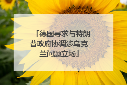 德国寻求与特朗普政府协调涉乌克兰问题立场