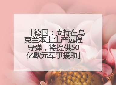 德国：支持在乌克兰本土生产远程导弹，将提供50亿欧元军事援助