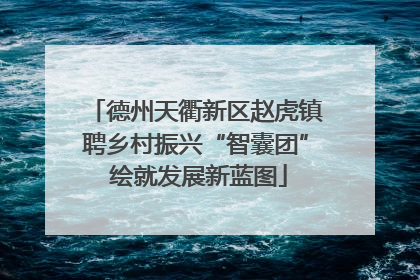 德州天衢新区赵虎镇聘乡村振兴“智囊团” 绘就发展新蓝图