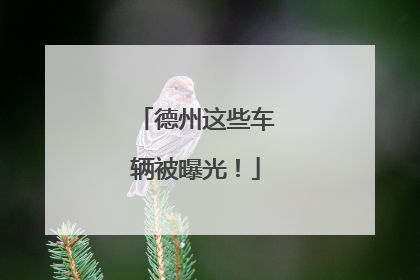 德州这些车辆被曝光！