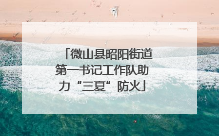 微山县昭阳街道第一书记工作队助力“三夏”防火