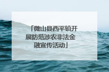 微山县西平镇开展防范涉农非法金融宣传活动