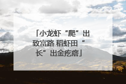小龙虾“爬”出致富路 稻虾田“长”出金疙瘩