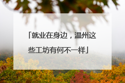 就业在身边，温州这些工坊有何不一样