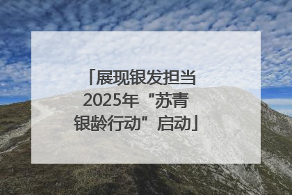展现银发担当 2025年“苏青银龄行动”启动