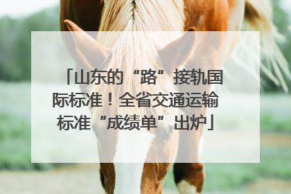 山东的“路”接轨国际标准！全省交通运输标准“成绩单”出炉