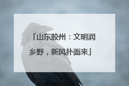 山东胶州：文明润乡野，新风扑面来