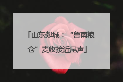 山东郯城：“鲁南粮仓”麦收接近尾声