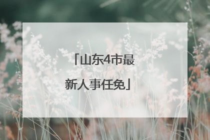 山东4市最新人事任免