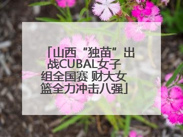 山西“独苗”出战CUBAL女子组全国赛 财大女篮全力冲击八强