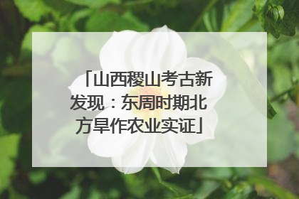 山西稷山考古新发现：东周时期北方旱作农业实证