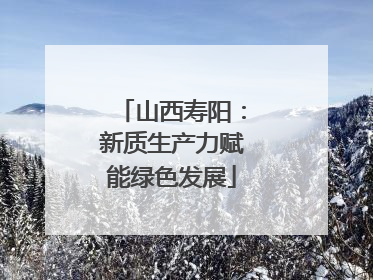 山西寿阳：新质生产力赋能绿色发展