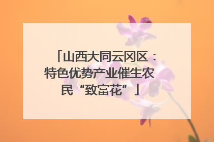 山西大同云冈区：特色优势产业催生农民“致富花”