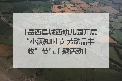 岳西县城西幼儿园开展“小满知时节 劳动品丰收”节气主题活动