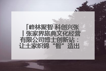 峰林聚智 科创兴张丨张家界旅典文化经营有限公司博士创新站：让土家织锦“智”造出非遗新传奇