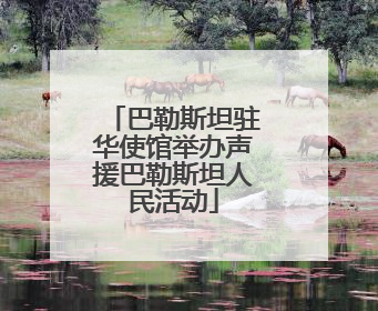 巴勒斯坦驻华使馆举办声援巴勒斯坦人民活动