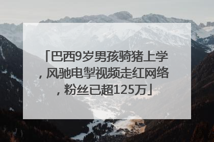 巴西9岁男孩骑猪上学，风驰电掣视频走红网络，粉丝已超125万