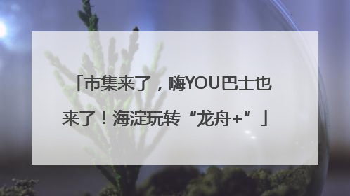 市集来了，嗨YOU巴士也来了！海淀玩转“龙舟+”
