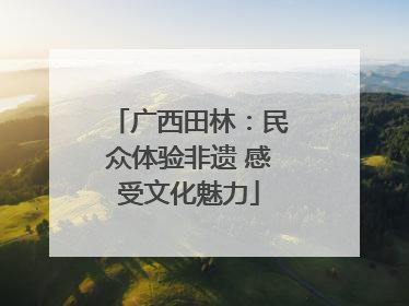 广西田林：民众体验非遗 感受文化魅力