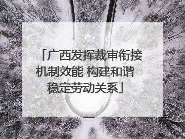广西发挥裁审衔接机制效能 构建和谐稳定劳动关系