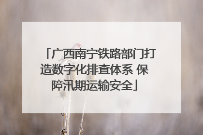 广西南宁铁路部门打造数字化排查体系 保障汛期运输安全
