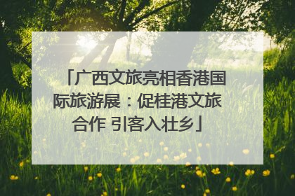广西文旅亮相香港国际旅游展：促桂港文旅合作 引客入壮乡
