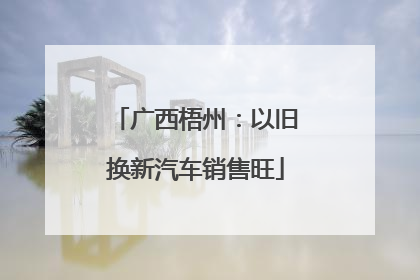 广西梧州：以旧换新汽车销售旺