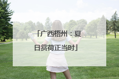 广西梧州：夏日赏荷正当时