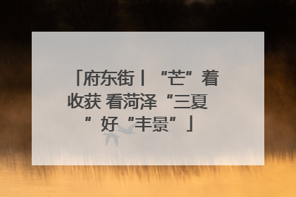 府东街丨“芒”着收获 看菏泽“三夏”好“丰景”