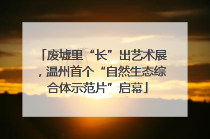 废墟里“长”出艺术展，温州首个“自然生态综合体示范片”启幕