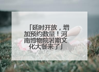 延时开放，增加预约数量！河南博物院暑期文化大餐来了