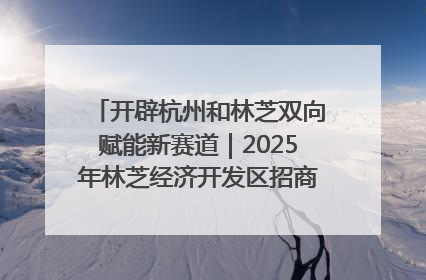 开辟杭州和林芝双向赋能新赛道｜2025年林芝经济开发区招商引资（杭州）推介展销活动在杭举办