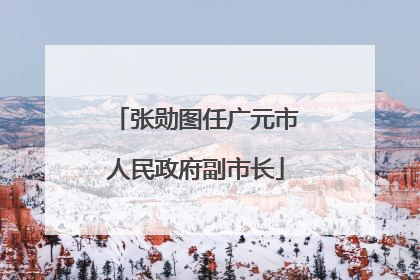 张勋图任广元市人民政府副市长