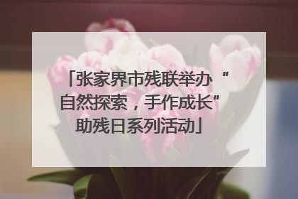 张家界市残联举办“自然探索，手作成长”助残日系列活动