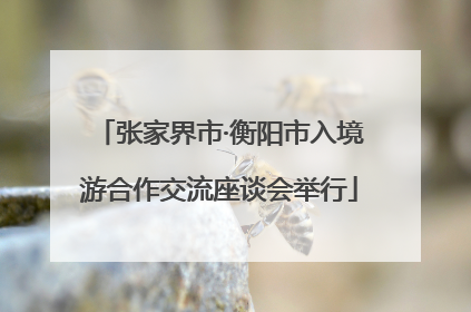张家界市·衡阳市入境游合作交流座谈会举行