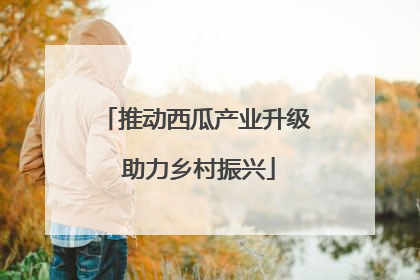推动西瓜产业升级 助力乡村振兴