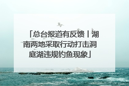 总台报道有反馈丨湖南两地采取行动打击洞庭湖违规钓鱼现象