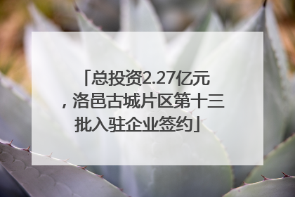 总投资2.27亿元，洛邑古城片区第十三批入驻企业签约