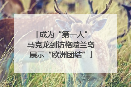 成为“第一人” 马克龙到访格陵兰岛展示“欧洲团结”