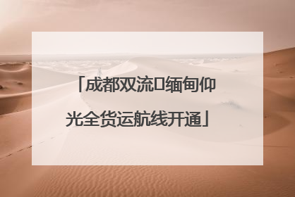 成都双流⇌缅甸仰光全货运航线开通