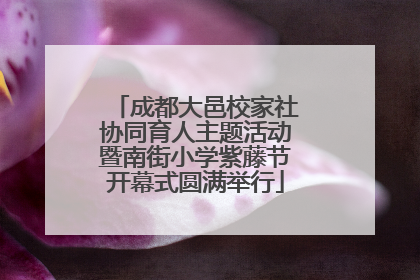 成都大邑校家社协同育人主题活动暨南街小学紫藤节开幕式圆满举行
