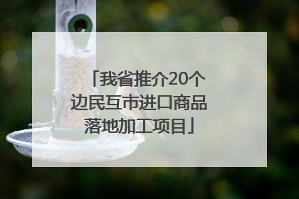 我省推介20个边民互市进口商品落地加工项目