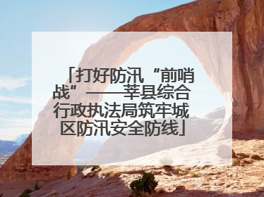 打好防汛“前哨战”——莘县综合行政执法局筑牢城区防汛安全防线