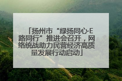 扬州市“绿扬同心·E路同行”推进会召开，网络统战助力民营经济高质量发展行动启动