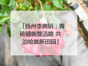 扬州李典镇：青砖铺就整洁路 共治绘就新田园