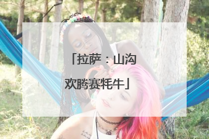 拉萨：山沟欢腾赛牦牛