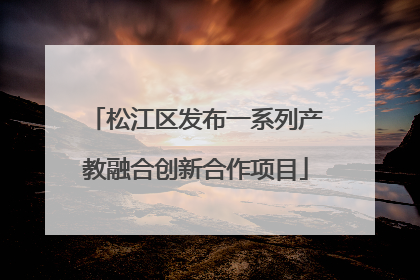 松江区发布一系列产教融合创新合作项目