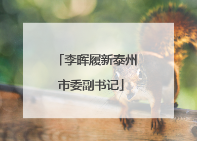 李晖履新泰州市委副书记